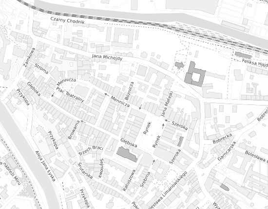 Mapa z adresem organizacji