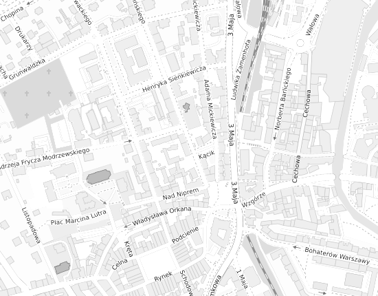 Mapa z adresem organizacji