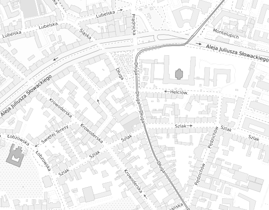 Mapa z adresem organizacji
