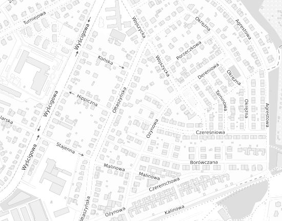 Mapa z adresem organizacji