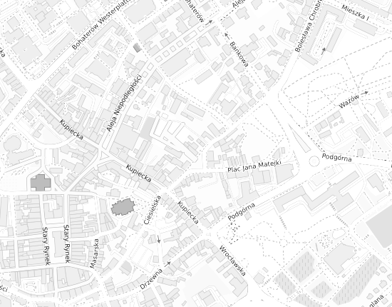 Mapa z adresem organizacji
