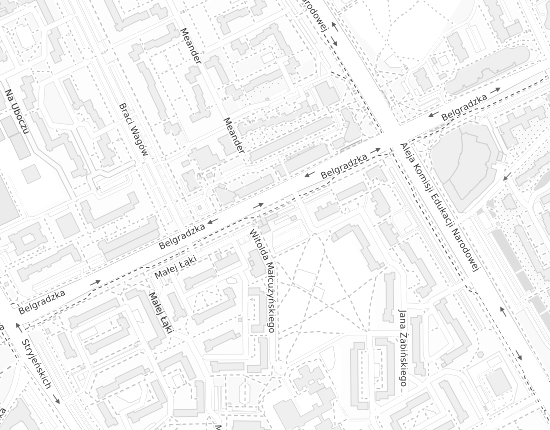 Mapa z adresem organizacji
