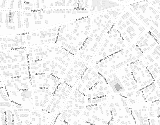 Mapa z adresem organizacji