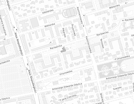 Mapa z adresem organizacji