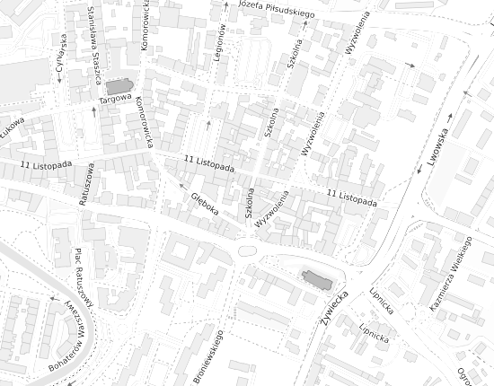 Mapa z adresem organizacji