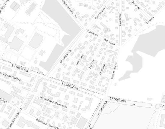 Mapa z adresem organizacji