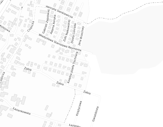 Mapa z adresem organizacji