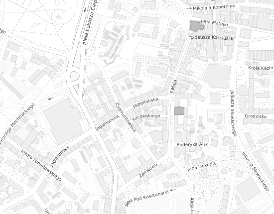 Mapa z adresem organizacji