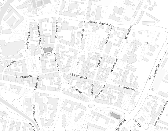Mapa z adresem organizacji