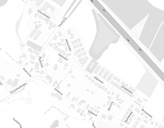 Mapa z adresem organizacji