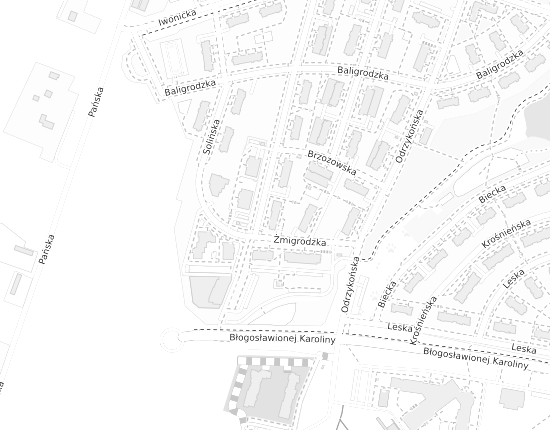 Mapa z adresem organizacji