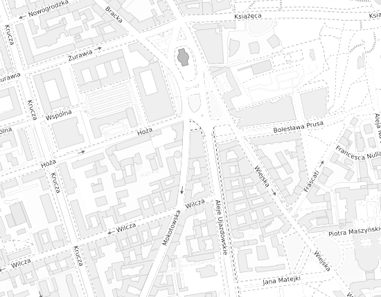 Mapa z adresem organizacji