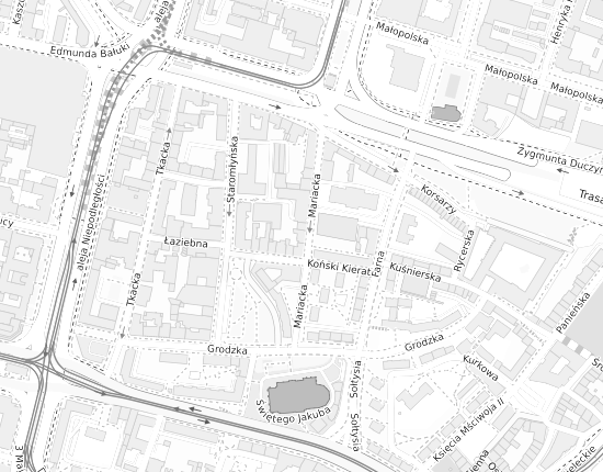 Mapa z adresem organizacji