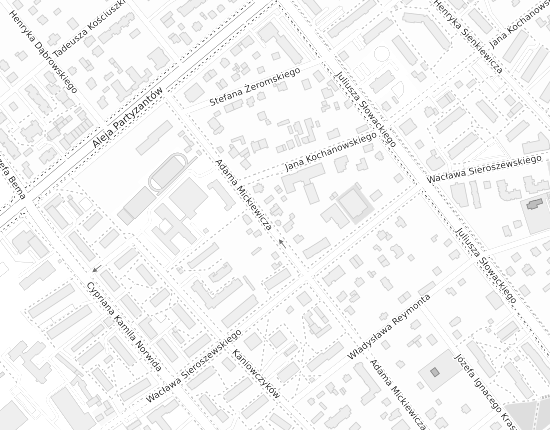 Mapa z adresem organizacji