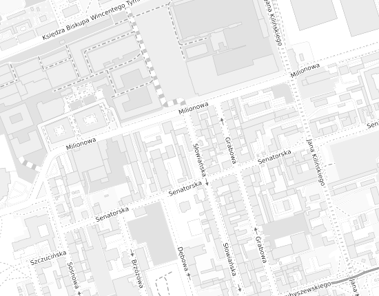Mapa z adresem organizacji