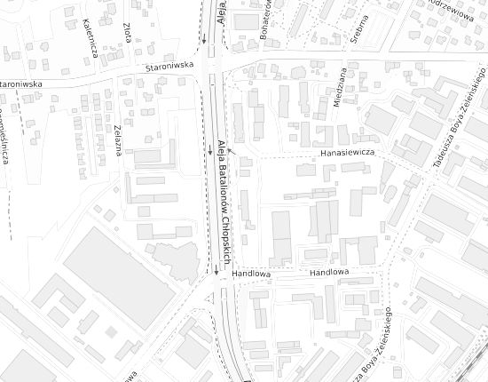 Mapa z adresem organizacji