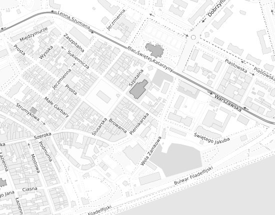 Mapa z adresem organizacji