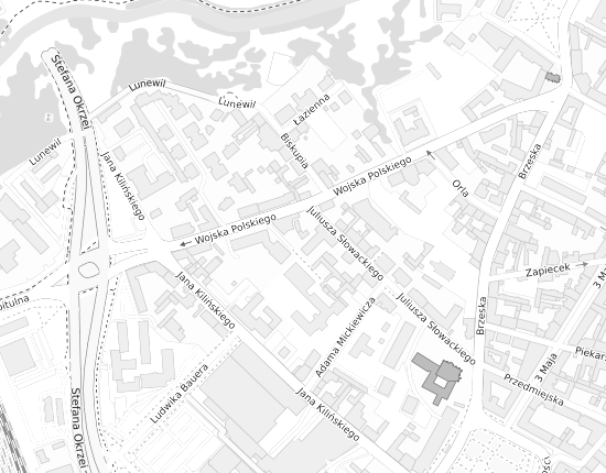 Mapa z adresem organizacji