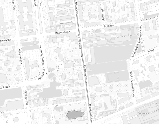 Mapa z adresem organizacji