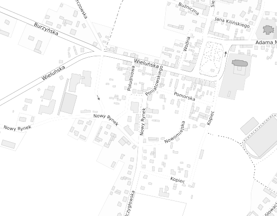Mapa z adresem organizacji