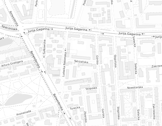 Mapa z adresem organizacji