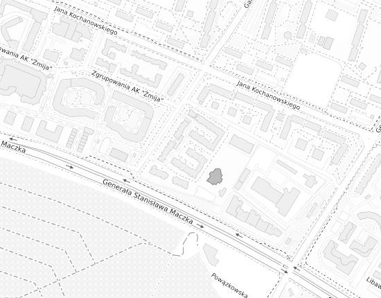 Mapa z adresem organizacji