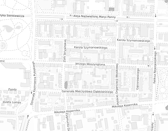 Mapa z adresem organizacji