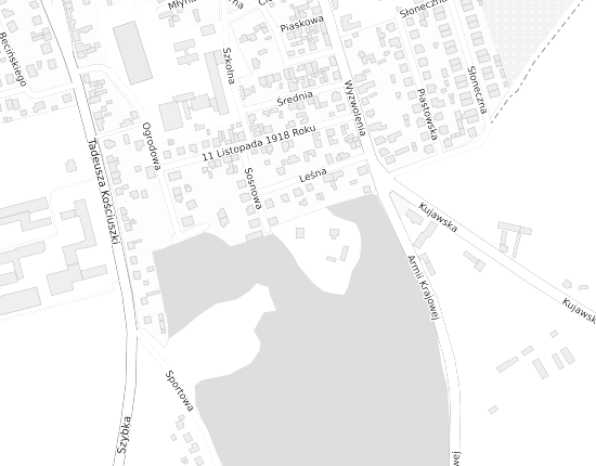 Mapa z adresem organizacji