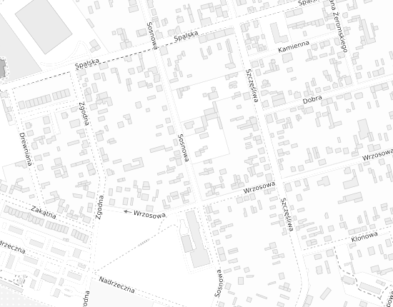 Mapa z adresem organizacji