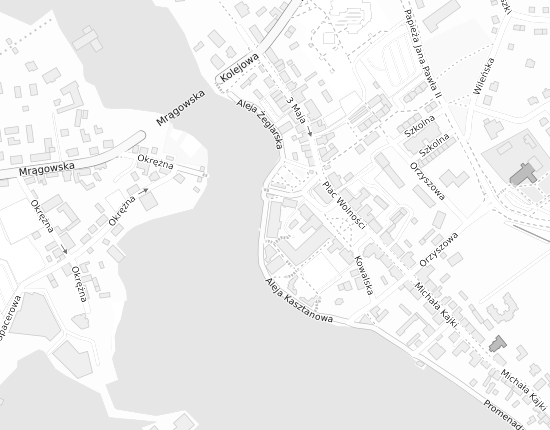 Mapa z adresem organizacji