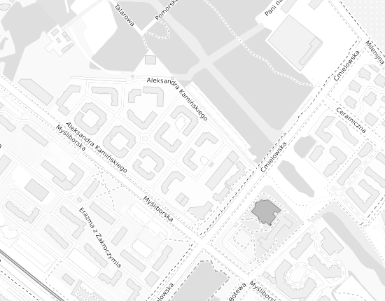 Mapa z adresem organizacji