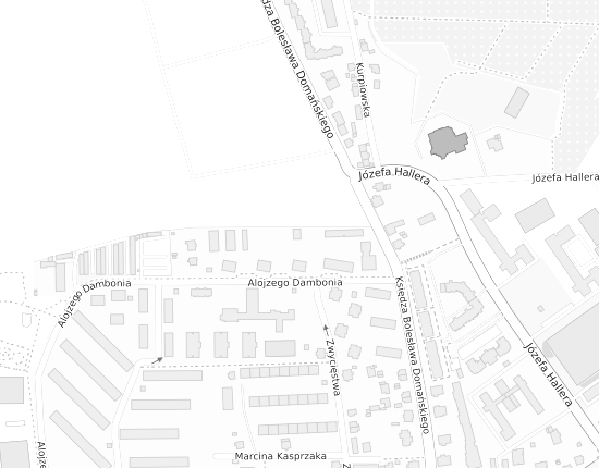 Mapa z adresem organizacji