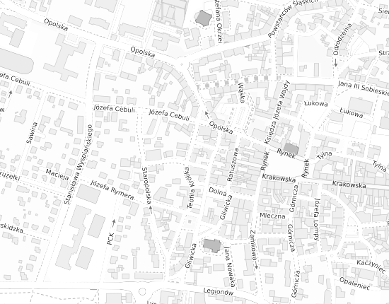 Mapa z adresem organizacji