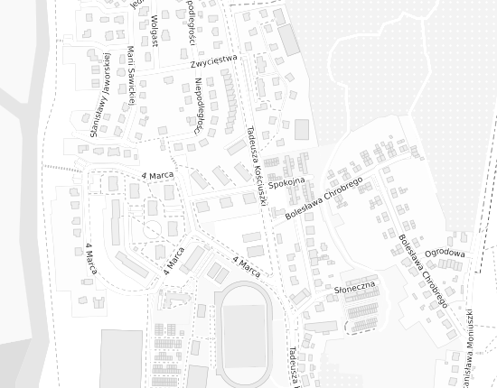 Mapa z adresem organizacji