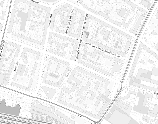 Mapa z adresem organizacji