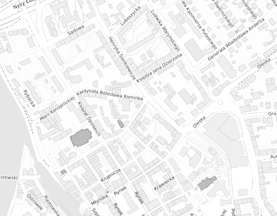 Mapa z adresem organizacji