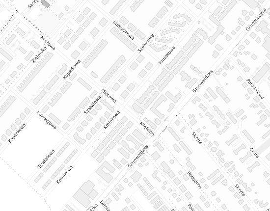 Mapa z adresem organizacji