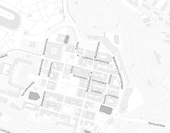 Mapa z adresem organizacji