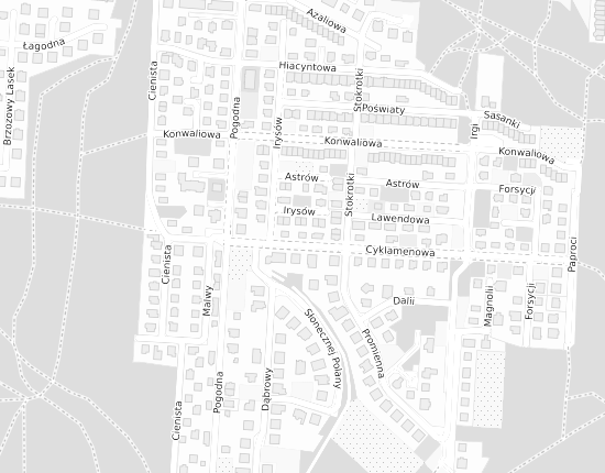 Mapa z adresem organizacji