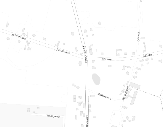 Mapa z adresem organizacji