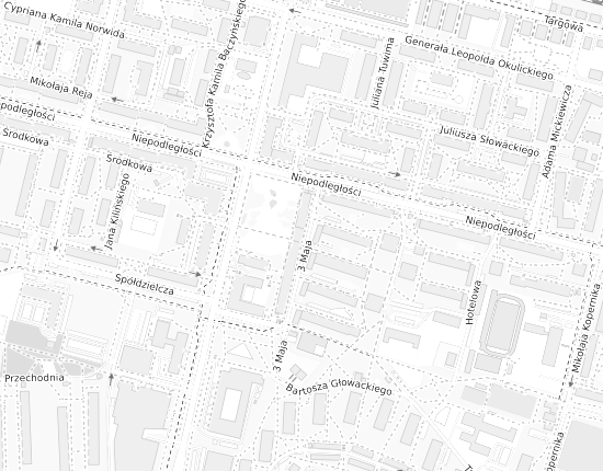 Mapa z adresem organizacji