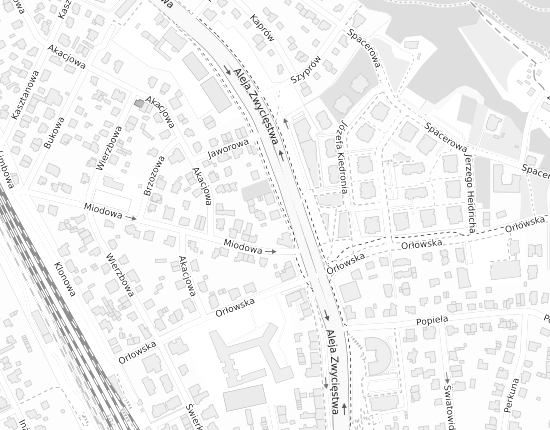 Mapa z adresem organizacji