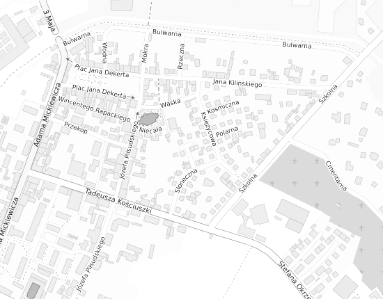 Mapa z adresem organizacji