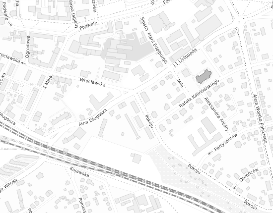 Mapa z adresem organizacji