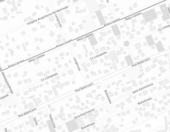 Mapa z adresem organizacji