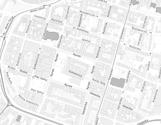 Mapa z adresem organizacji
