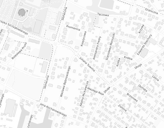 Mapa z adresem organizacji