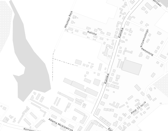 Mapa z adresem organizacji