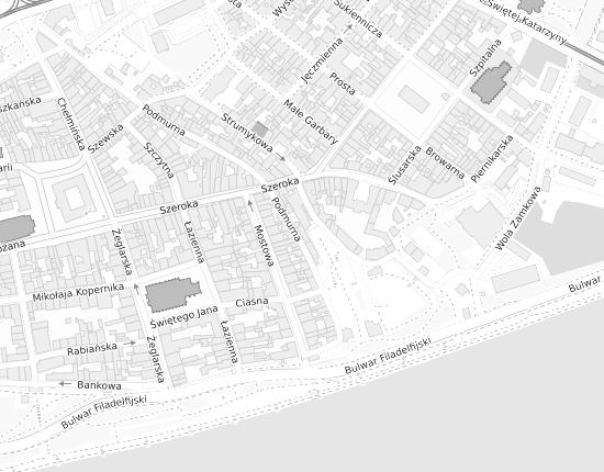 Mapa z adresem organizacji