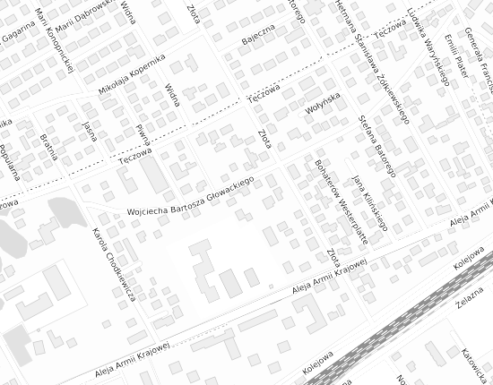 Mapa z adresem organizacji